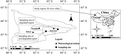 Do <mark class="highlighted">Extreme Climate</mark> Events Cause the Degradation of Malus sieversii Forests in China?